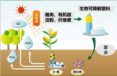 影响材料降解性能的外界因素