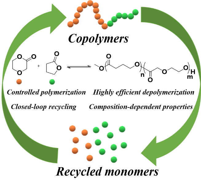四川大学王玉忠院士团队：可闭环化学循环生物降解共聚物的可控合成