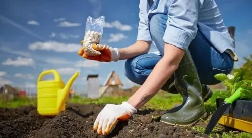 欧洲协会：可堆肥降解塑料对土壤健康有5大好处