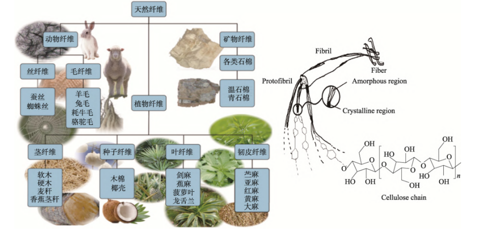 聚乳酸及天然纤维素特点